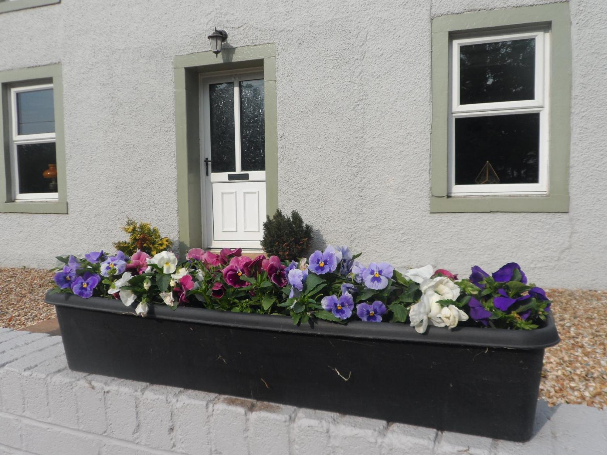 Midtown Farm Bed & Breakfast Easton  Bagian luar foto